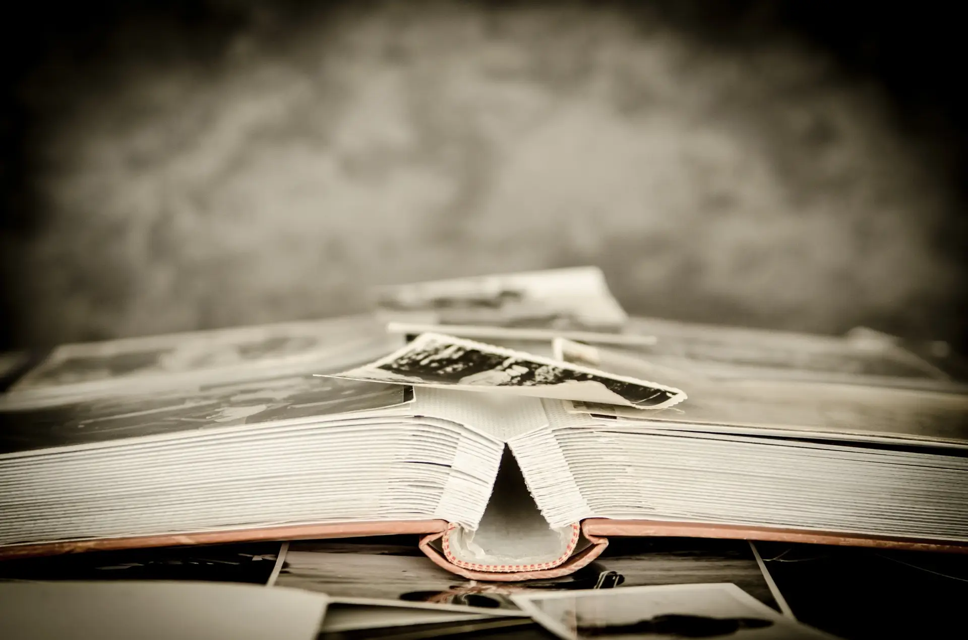 Quote about libraries