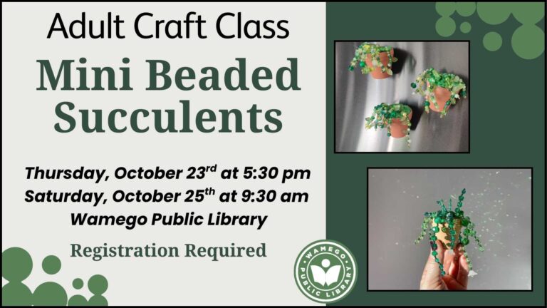 Adult Craft Class: Mini Beaded Succulents, Thursday, October 23rd at 5:30 pm and Saturday, October 25th at 9:30 am, links to register below
