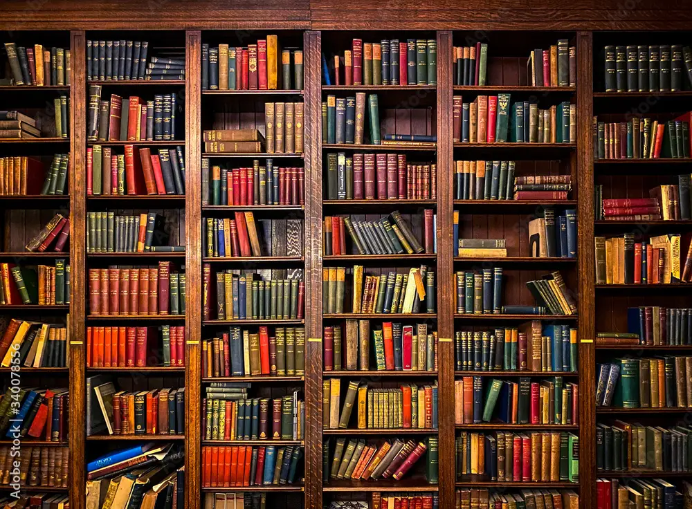Shelves of books