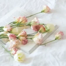 all about romance